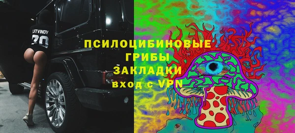 хмурый Кукмор