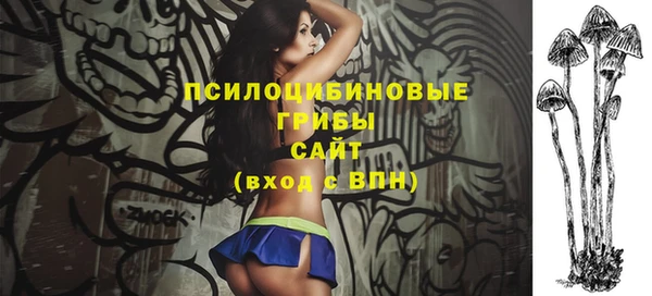 хмурый Кукмор